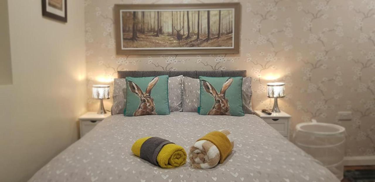 The Musical Ceol Cottage 1-Bedroom - Sleeps Four Ballynahinch Dış mekan fotoğraf