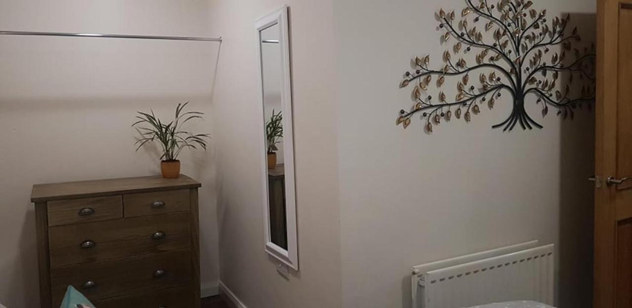 The Musical Ceol Cottage 1-Bedroom - Sleeps Four Ballynahinch Dış mekan fotoğraf